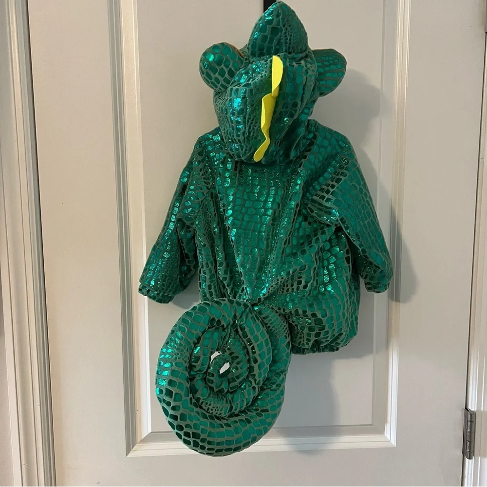 Green Chameleon Halloween Costume - Picture 3 of 7